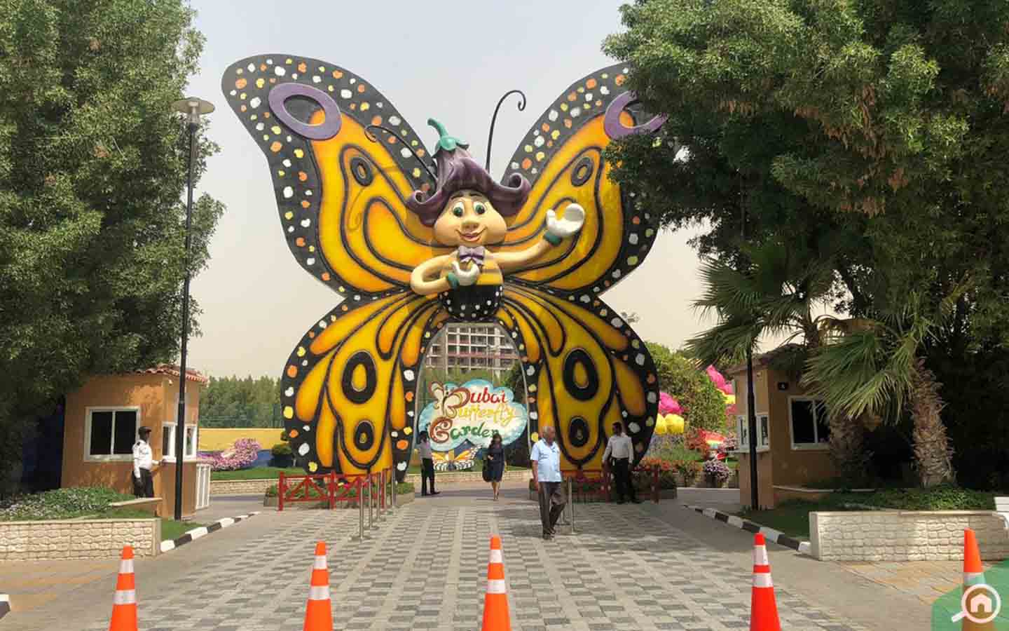 Dubai Butterfly Garden is the world's largest indoor butterfly garden