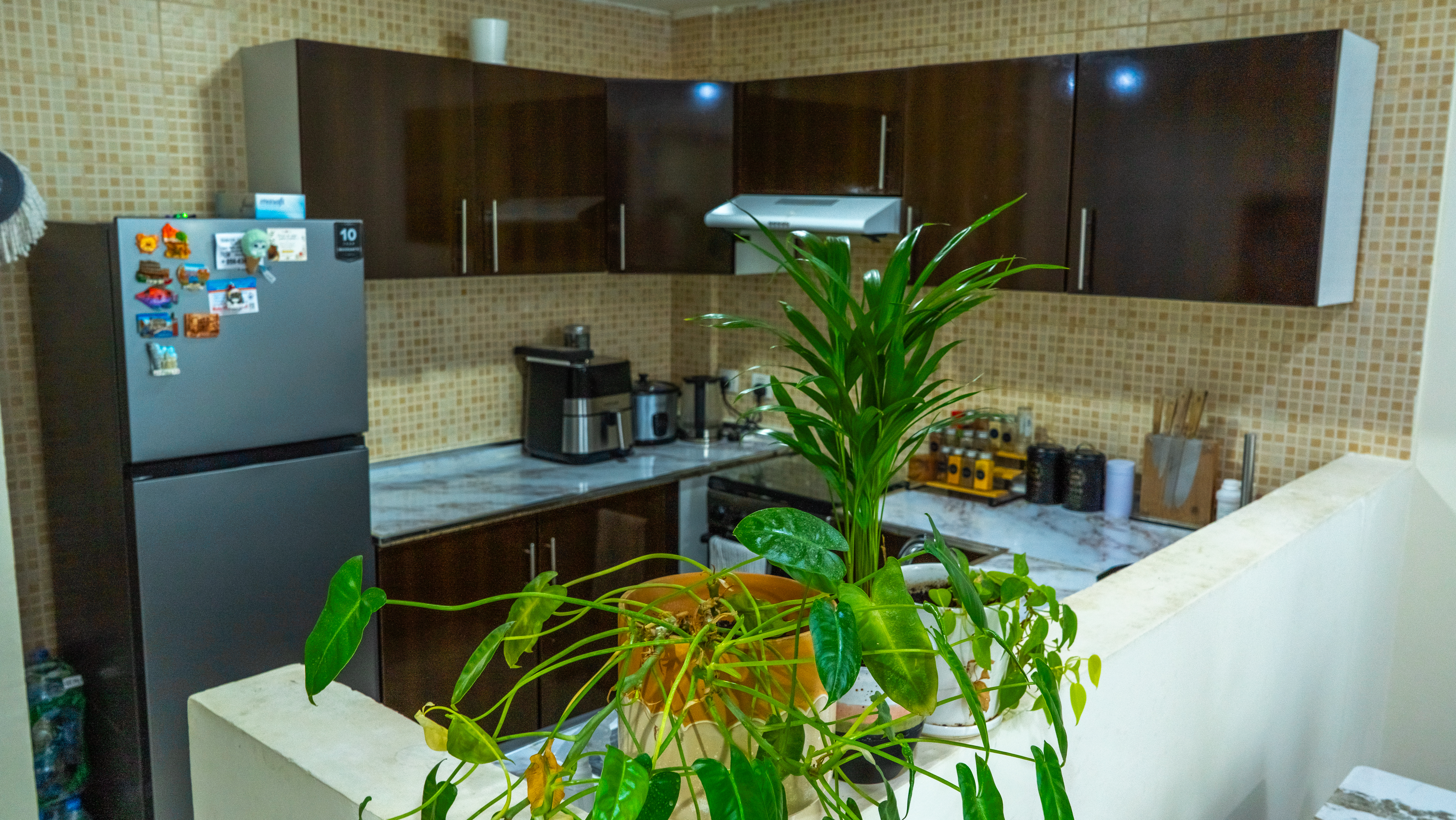Exclusive 1BR | Investor Deal | 690 Sq.Ft. | Motivated Seller
