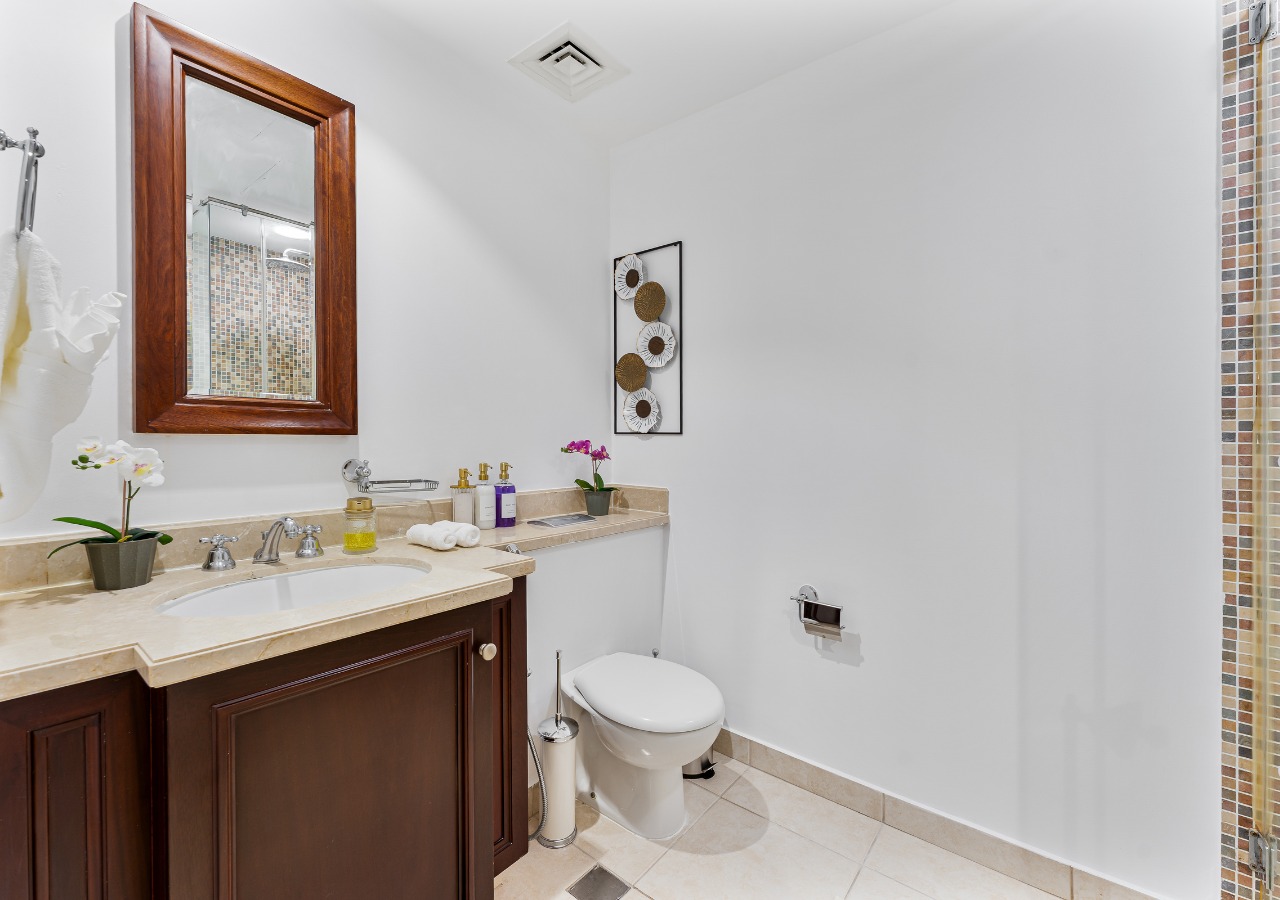 Luxurious Apartment | Fully Furnished | Monthly 12500 Including Bills