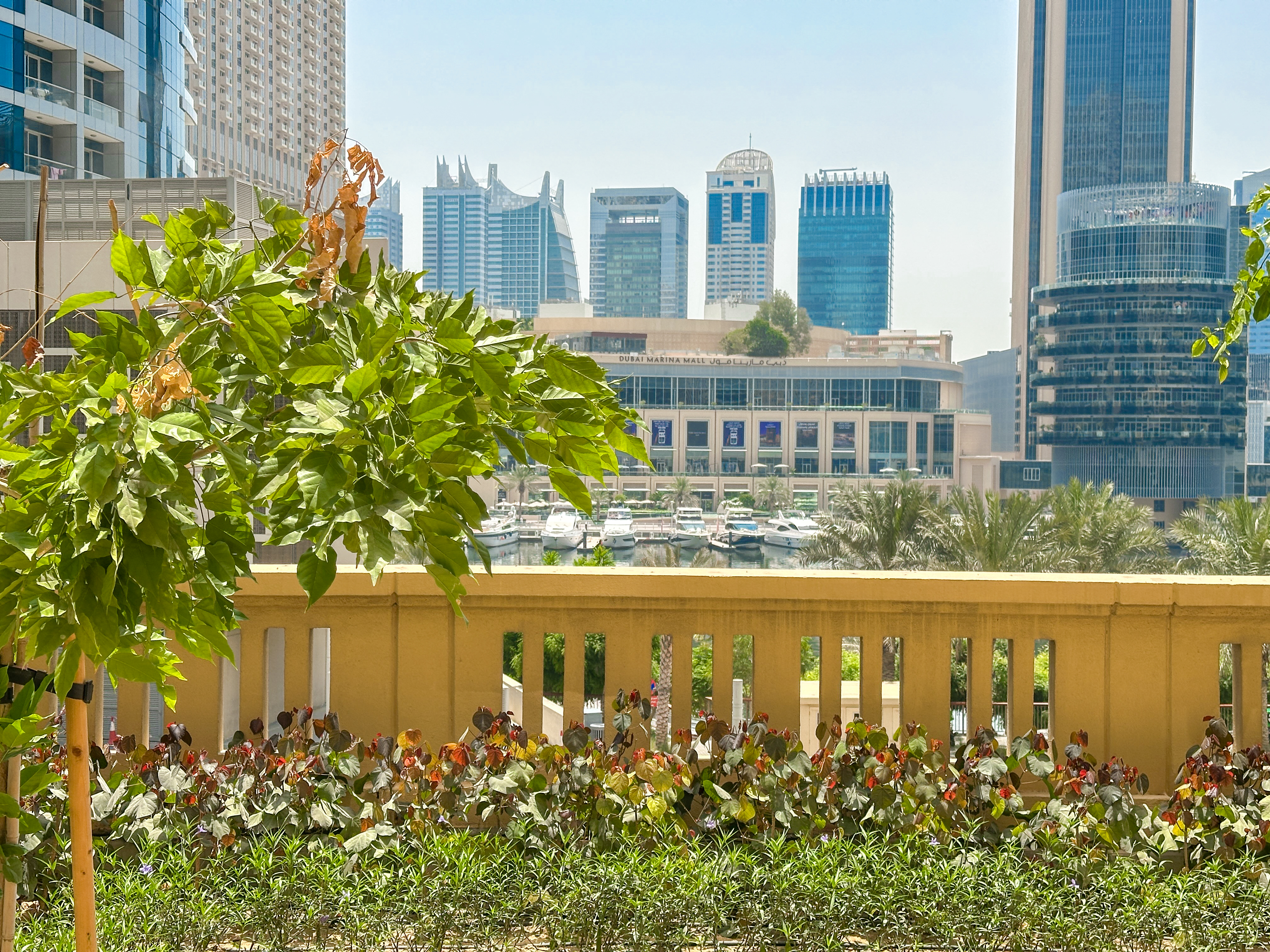Marina Community | Premium Finish | Ready to Move
